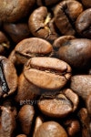 Coffee grains closeup 이미지 (152021996) - 게티이미지뱅크 Coffee grains closeup