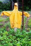 yellow scarecrow 이미지 (101114080) - 게티이미지뱅크 yellow scarecrow