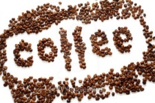 Coffee Bean 이미지 (92278953) - 게티이미지뱅크 Coffee Bean