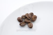 Coffee bean 이미지 (93475794) - 게티이미지뱅크 Coffee bean