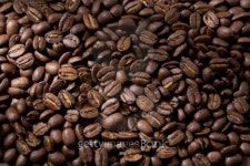 Coffee bean 이미지 (93475806) - 게티이미지뱅크 Coffee bean