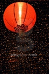 Red Chinese Lantern 이미지 (94804376) - 게티이미지뱅크 Red Chinese Lantern
