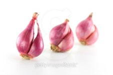 onions 이미지 (92986960) - 게티이미지뱅크 onions