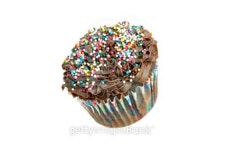 Chocolate Cupcake on White with Copy Space 이미지 (95070772) - 게티이미지뱅크 Chocolate Cupcake on White with Copy Space