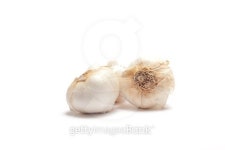 Garlic Cloves 이미지 (147299851) - 게티이미지뱅크 Garlic Cloves