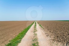 Country road 이미지 (92446797) - 게티이미지뱅크 Country road