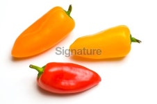 Colorful peppers 이미지 (173906936) - 게티이미지뱅크 Colorful peppers