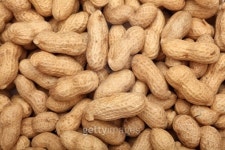 나두세부 | Peanuts 이미지 (124683905) - 게티이미지뱅크 Peanuts