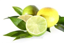 fresh green lime 이미지 (100541282) - 게티이미지뱅크 fresh green lime