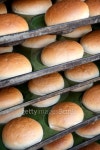 Sourdough Bread 이미지 (147275465) - 게티이미지뱅크 Sourdough Bread