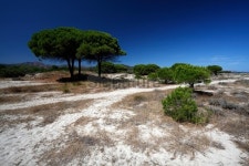 Sardinian dunes 이미지 (176103466) - 게티이미지뱅크 Sardinian dunes