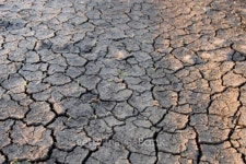 Cracked land 이미지 (91832185) - 게티이미지뱅크 Cracked land