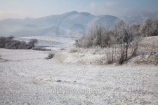 winter landscape 이미지 (147071780) - 게티이미지뱅크 winter landscape