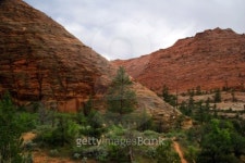 In Zion Canyon 이미지 (100916519) - 게티이미지뱅크 In Zion Canyon
