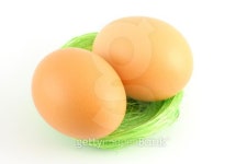 eggs in nest 이미지 (147046600) - 게티이미지뱅크 eggs in nest