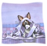 Bad Dog, Doggy, Pet, Mans Best Friend in Trouble 이미지 (176008300) - 게티이미지뱅크 Bad Dog, Doggy, Pet, Mans Best Friend... 