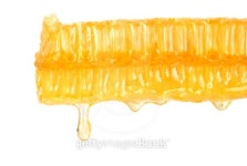 Honeycombs in a cut 이미지 (95454554) - 게티이미지뱅크 Honeycombs in a cut