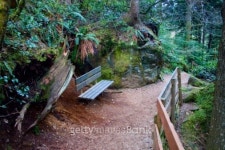 벤치 포레스트(Bench forest) | Bench on Path, Snoqualmie Forest 이미지 (95212754) - 게티이미지뱅크 Bench on Path, Snoqualmie Forest