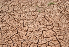 Soil 이미지 (146734769) - 게티이미지뱅크 Soil