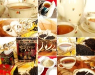 올어바웃티비체(ALL ABOUT TEA_VICHE) | everything about tea 이미지 (94732020) - 게티이미지뱅크 everything about tea