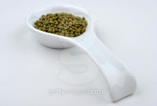 organic mung beans are good for salad 이미지 (101381638) - 게티이미지뱅크 organic mung beans are good for salad