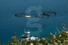 fish farm 이미지 (100874192) - 게티이미지뱅크 fish farm