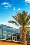 Solar batteries and palm at the turkish resort. 이미지 (101062086) - 게티이미지뱅크 Solar batteries and palm at the turkish... 