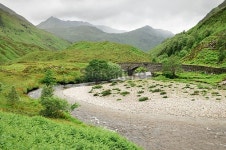 Scottish Highland Scene 이미지 (176020101) - 게티이미지뱅크 Scottish Highland Scene