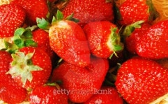 strawberry 이미지 (101374795) - 게티이미지뱅크 strawberry