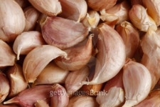 Garlic cloves 이미지 (96461192) - 게티이미지뱅크 Garlic cloves