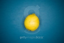 lemon on blue 이미지 (100526818) - 게티이미지뱅크 lemon on blue