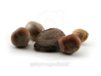 Group of Nuts 이미지 (95202353) - 게티이미지뱅크 Group of Nuts