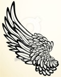 Wing 1 이미지 (96021387) - 게티이미지뱅크 Wing 1