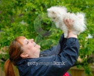 Smiling Woman Holding an Adorable White Pomeranian Puppy 이미지 (91780517) - 게티이미지뱅크 Smiling Woman Holding an Adorable... 