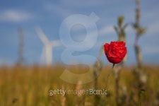 wind energy 이미지 (101159192) - 게티이미지뱅크 wind energy