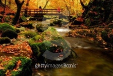 Autumn at Stockghyll 이미지 (160041587) - 게티이미지뱅크 Autumn at Stockghyll