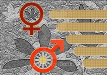 Background he and she 이미지 (95122499) - 게티이미지뱅크 Background he and she