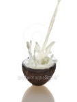 Coco and milk. 이미지 (91508199) - 게티이미지뱅크 Coco and milk.