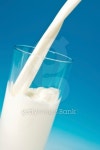 Pouring fresh cool milk 이미지 (91424591) - 게티이미지뱅크 Pouring fresh cool milk