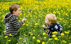 two boys blowing dandelions 이미지 (96773127) - 게티이미지뱅크 two boys blowing dandelions