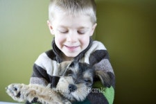 My Puppy 이미지 (179290898) - 게티이미지뱅크 My Puppy