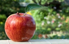 Red apple with green leaf 이미지 (101823847) - 게티이미지뱅크 Red apple with green leaf