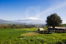 rural landscape and snowy volcano etna 이미지 (125916124) - 게티이미지뱅크 rural landscape and snowy volcano etna