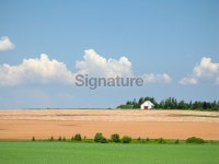 Prince Edward Island farmland. 이미지 (173935438) - 게티이미지뱅크 Prince Edward Island farmland.