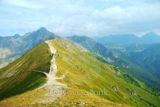 Tatra Mountains national park in Zakopane 이미지 (151551644) - 게티이미지뱅크 Tatra Mountains national park in Zakopane