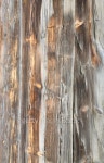 The wall 이미지 (101456954) - 게티이미지뱅크 The wall