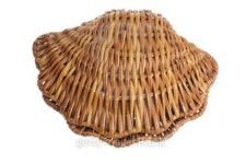 Wickerwork Sea shell 이미지 (100523405) - 게티이미지뱅크 Wickerwork Sea shell