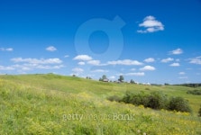 beautiful pastoral  landscape 이미지 (100635192) - 게티이미지뱅크 beautiful pastoral  landscape