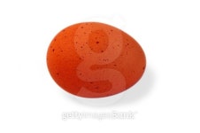 Egg isolated over  white. 이미지 (91395060) - 게티이미지뱅크 Egg isolated over  white.
