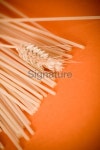 Pasta (vermicelli) with ear of wheat 이미지 (111960268) - 게티이미지뱅크 Pasta (vermicelli) with ear of wheat